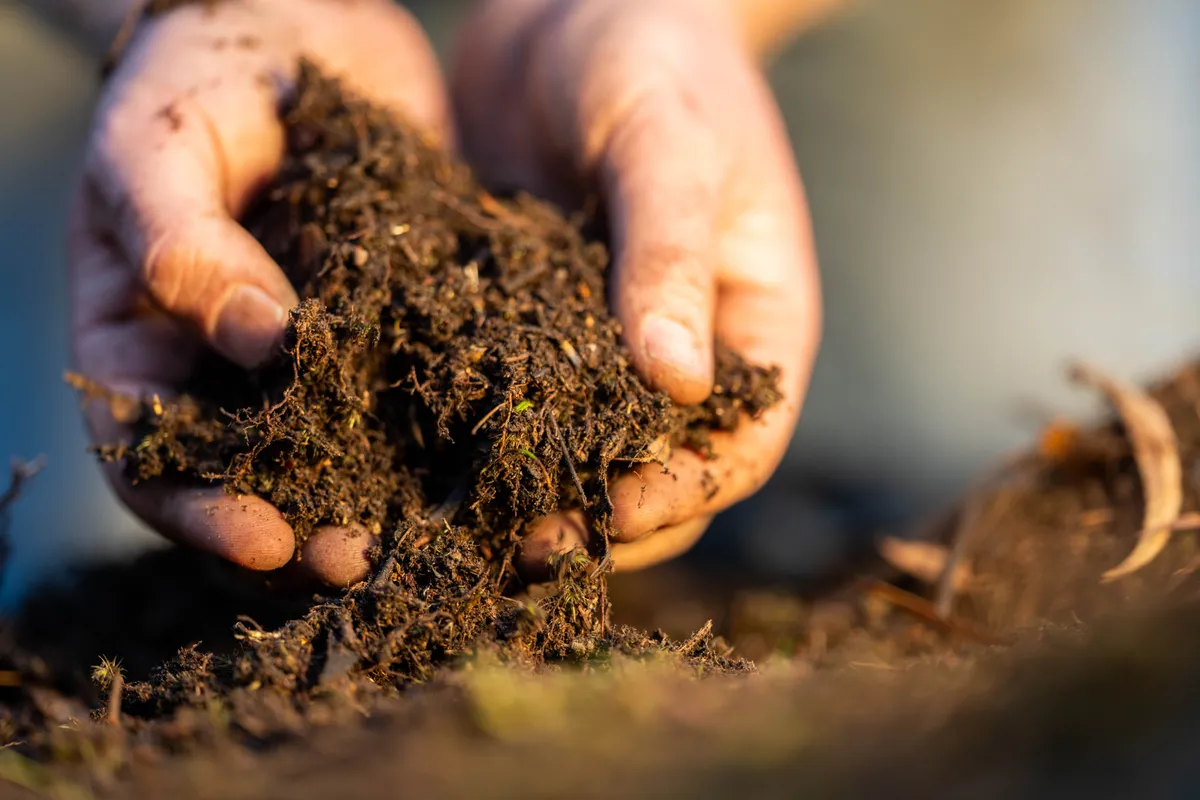 Hands holding a sample of crumbly paddock soil