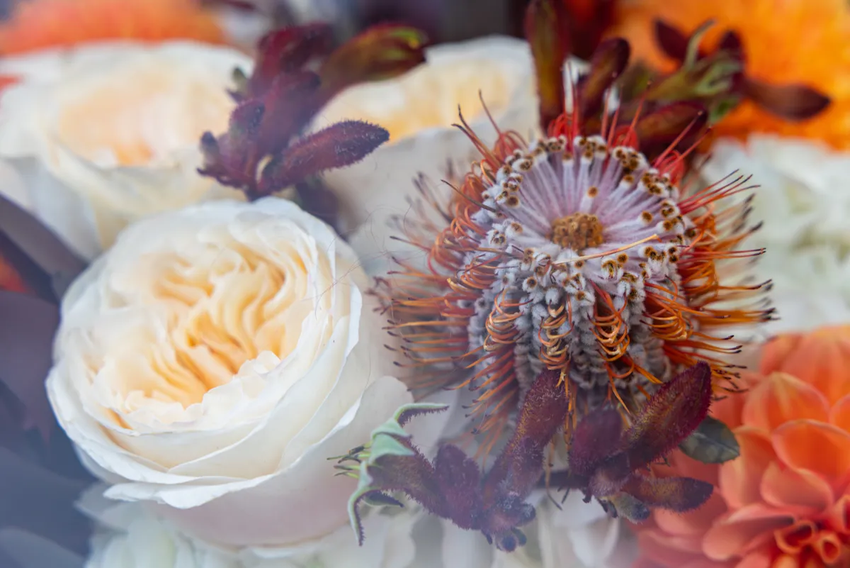 Wedding bouquet of white garden roses, banksia and kangaroo paw