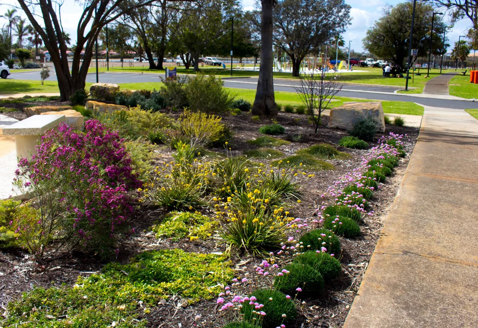 Native plant garden beds along a public path
