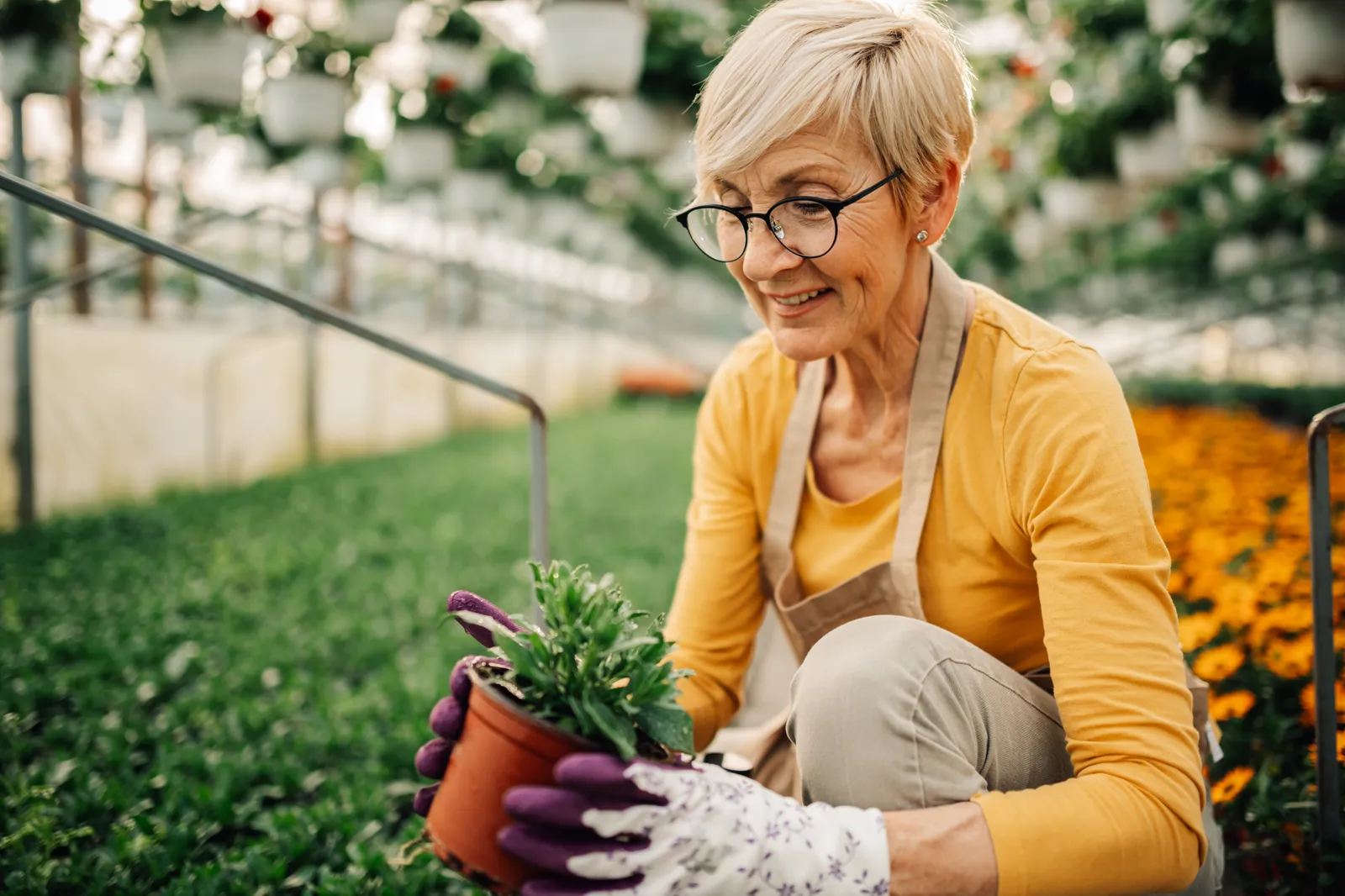 Grower kneeling to pot plants in a greenhouse