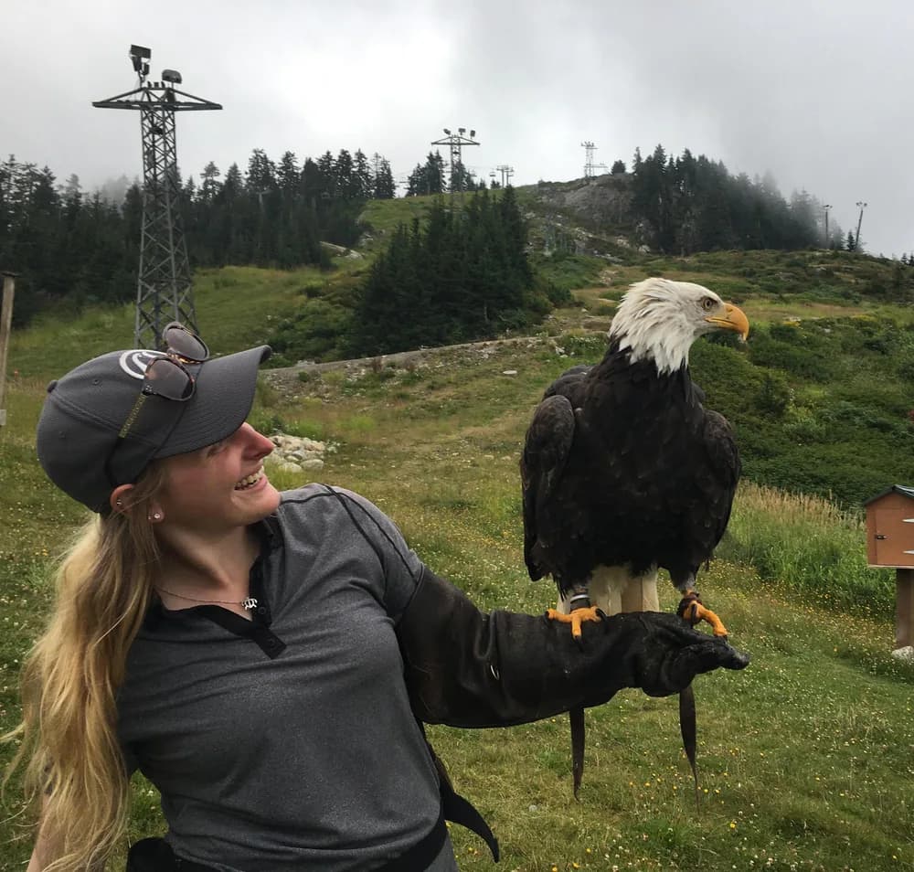 Abby holding a bald eagle on a falconry glove on a hillside