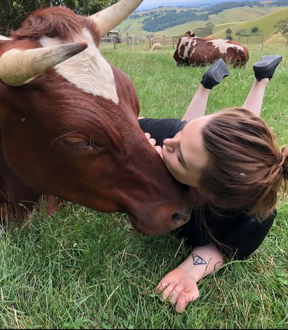 Geeg lying in a paddock cuddling a resting cow