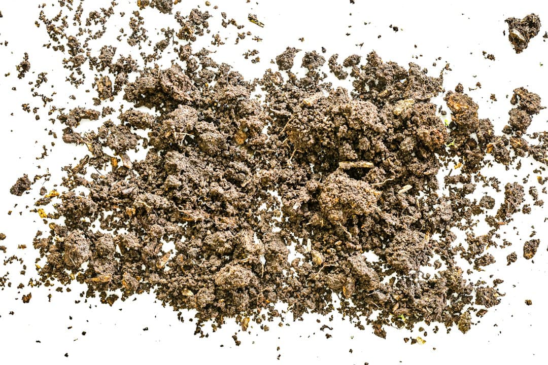 Spring Soil Testing: Prep Paddocks for Summer Crops
