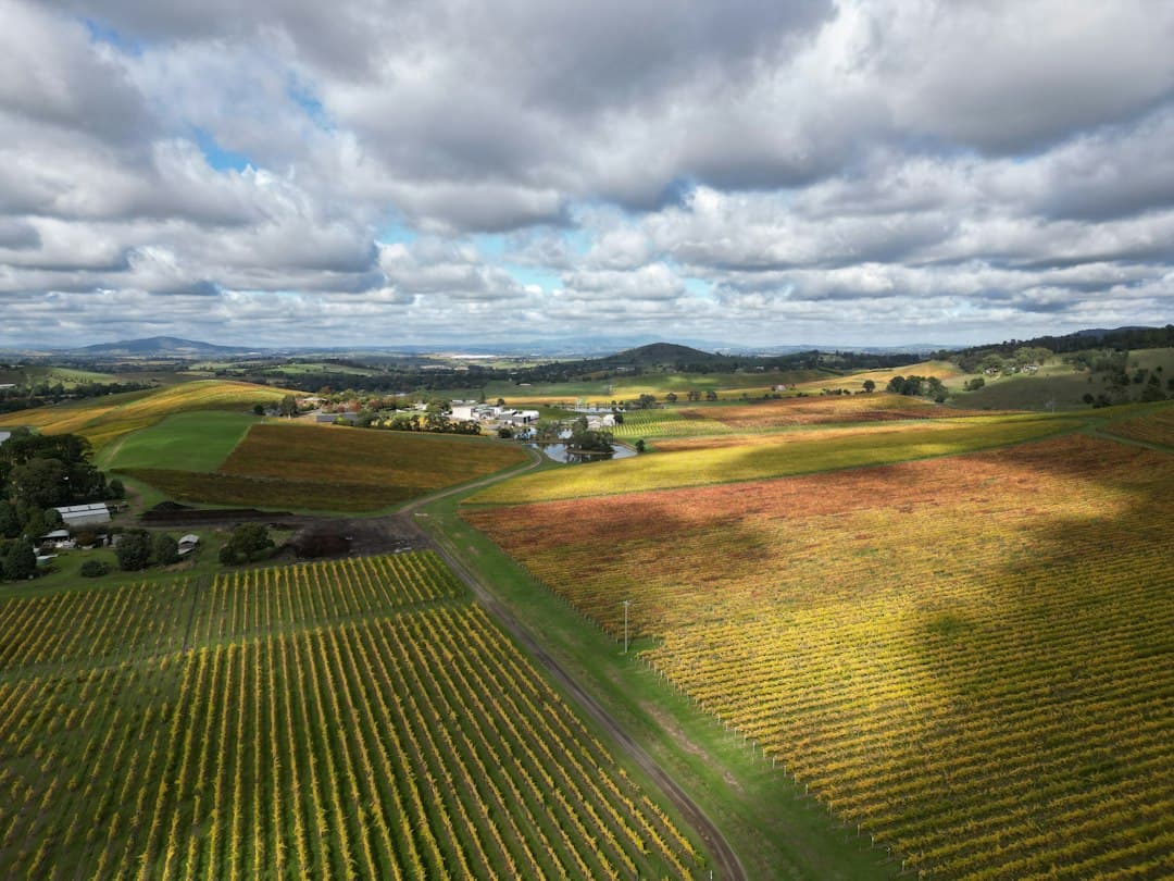 Cover Cropping Australia 101: Build Soil Health