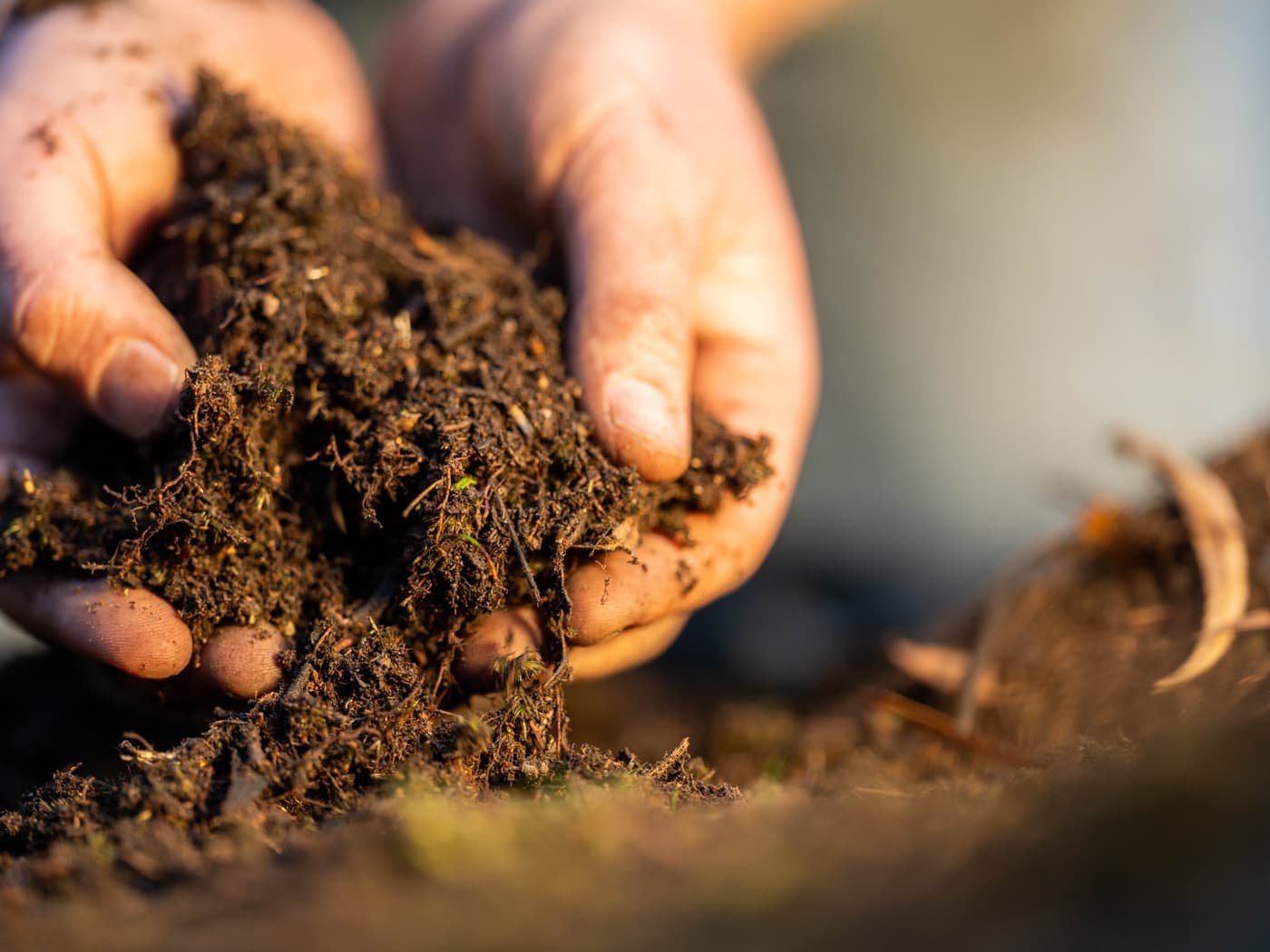 How to Take a Soil Sample: A Step-by-Step Guide for Farmers